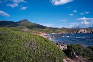 Un piccolo viaggio fotografico - Capo Pecora Portu Raffa 032