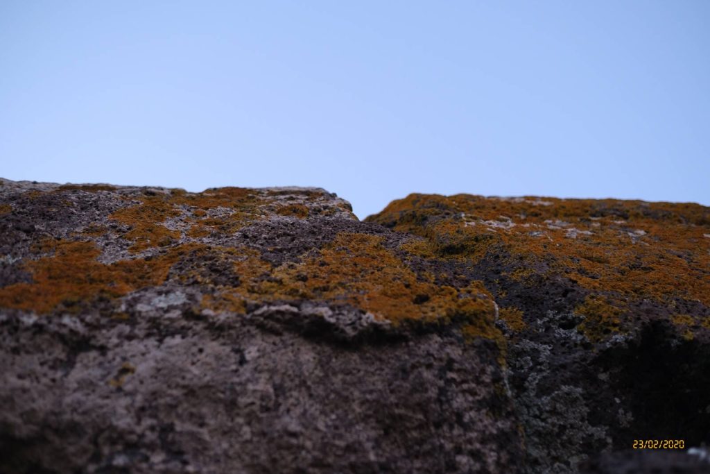 Tomba di giganti Sa Domu 'e S'Orku