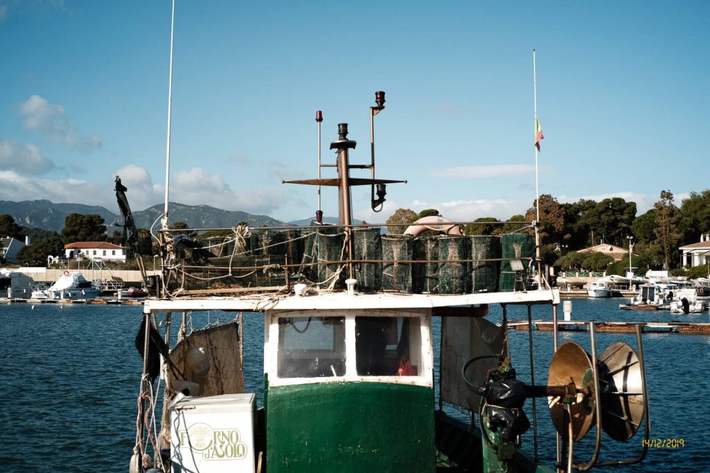 Porto Columbu 14 dic 2019 - Porto Columbu 14 dic 2019 Davide Baraldi 003 1024x683