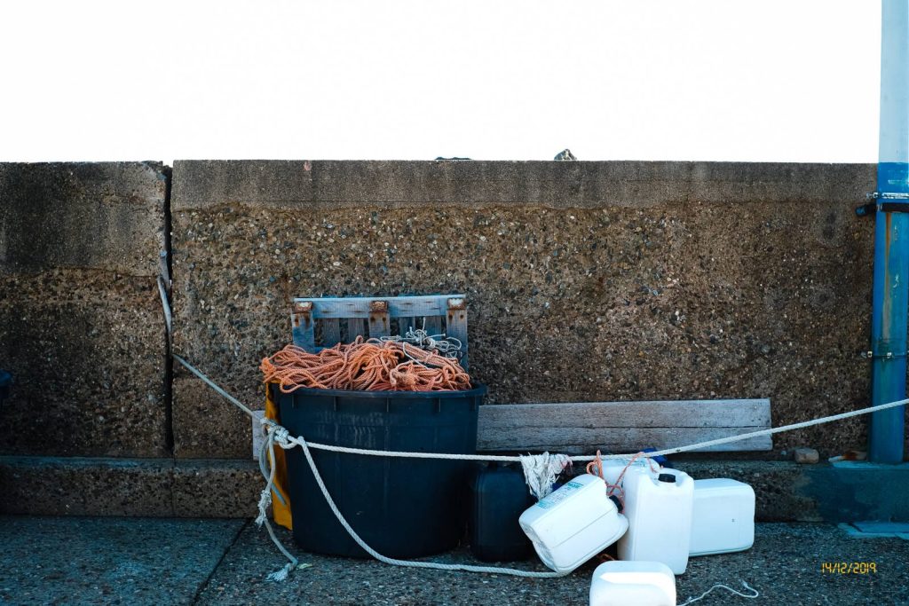Porto Columbu 14 dic 2019 - Porto Columbu 14 dic 2019 Davide Baraldi 006 1024x683