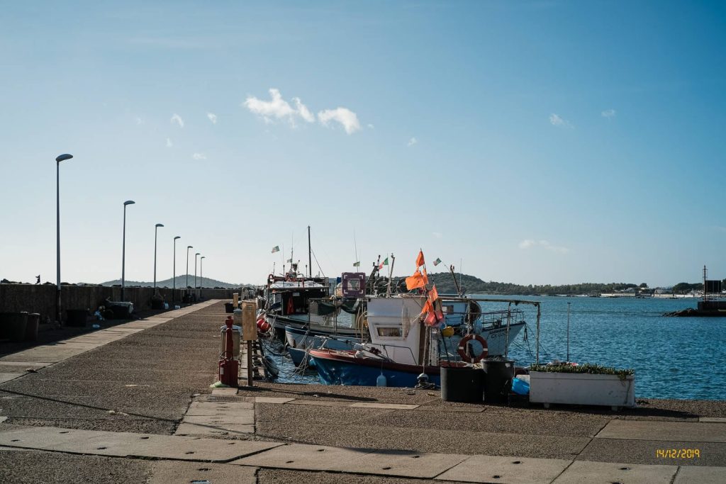 Porto Columbu 14 dic 2019 - Porto Columbu 14 dic 2019 Davide Baraldi 011 1024x683