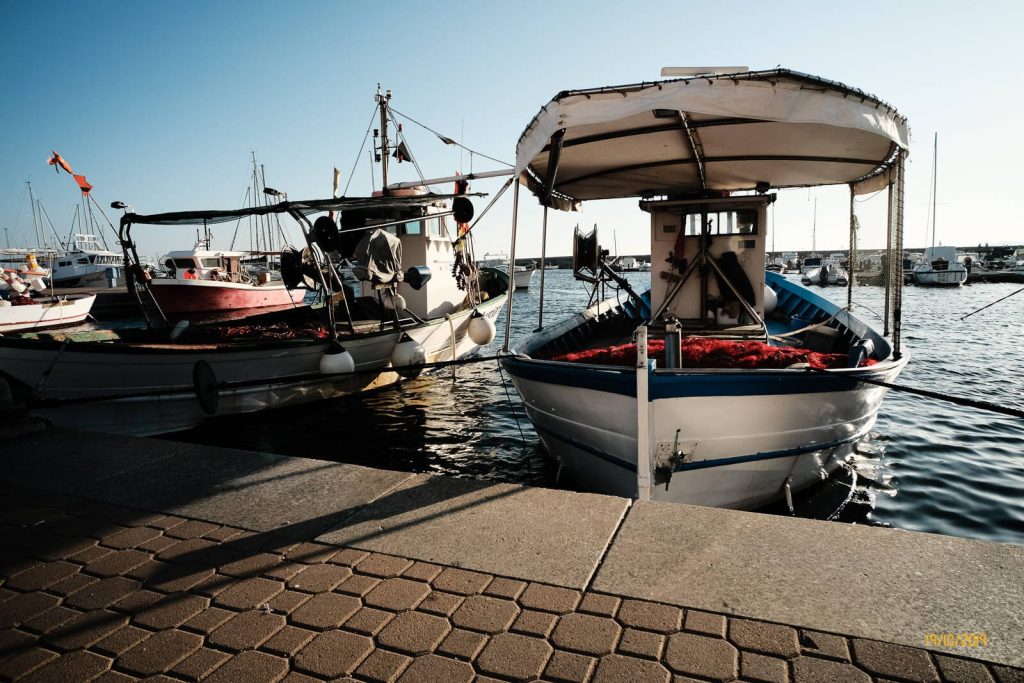 Portoscuso 19 Ottobre 2019 - Portoscuso 19 Ottobre 2019 Davide Baraldi 007 1024x683