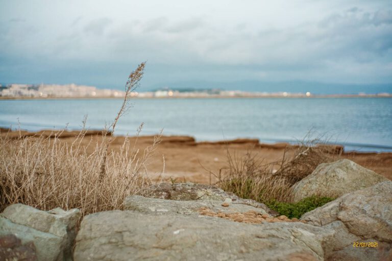 23 gen 2012 - Fuji X Pro1 007