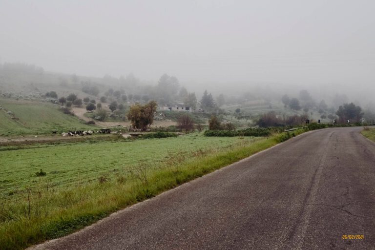 Nebbia in Sardegna - Nebbia in Sardegna Davide Baraldi DSCF1274