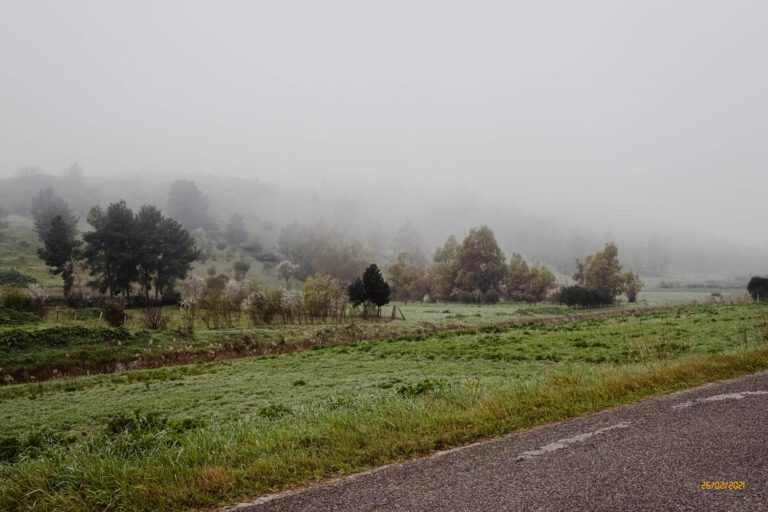 Nebbia in Sardegna - Nebbia in Sardegna Davide Baraldi DSCF1278