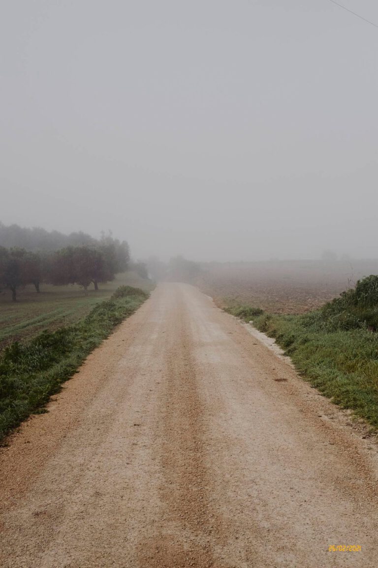 Nebbia in Sardegna - Nebbia in Sardegna Davide Baraldi DSCF1285