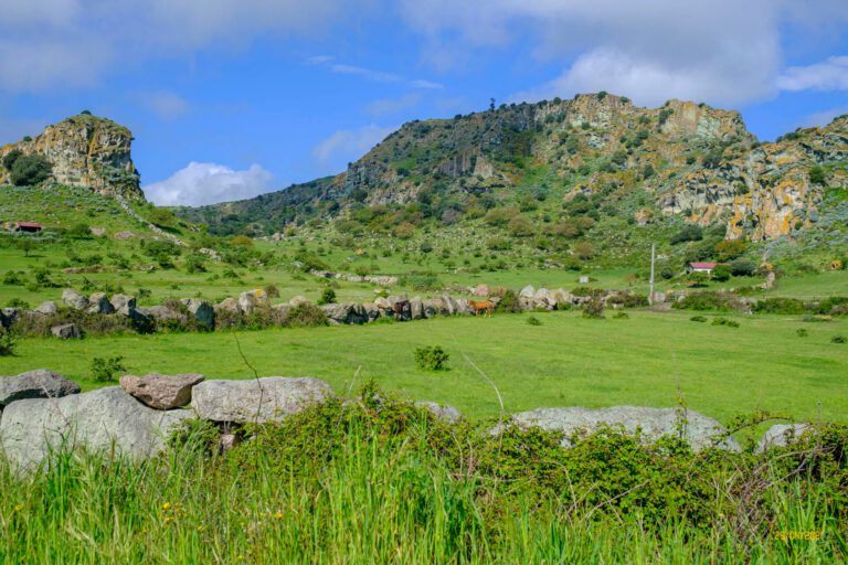 Cavalli di Giave - Davide Baraldi DSCF3533