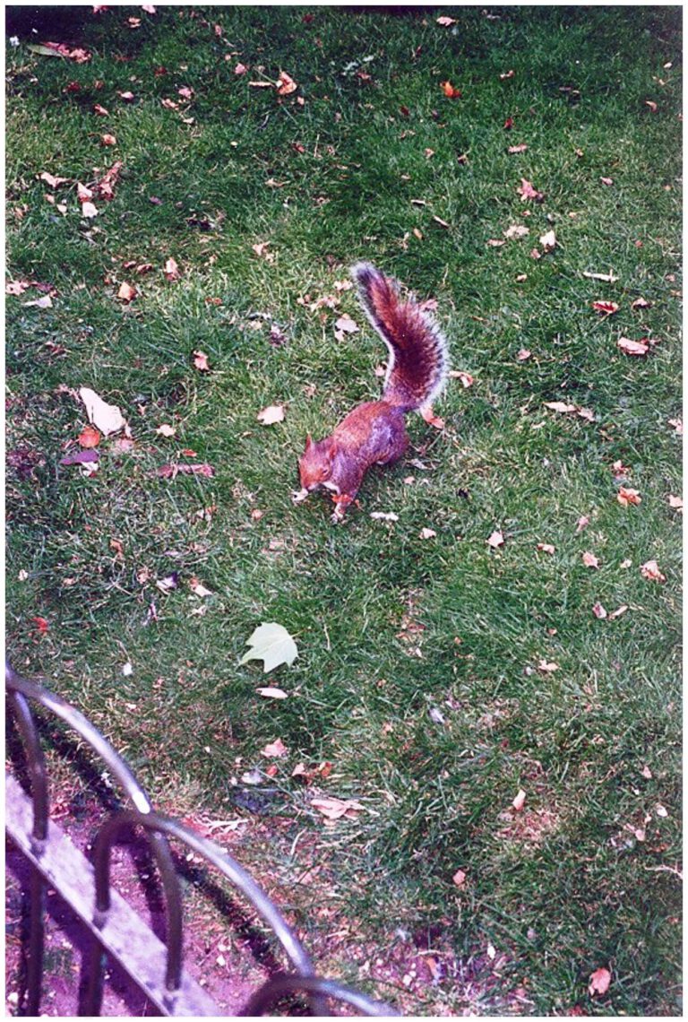 London Settembre 1996 - London settembre 1996 lon 035