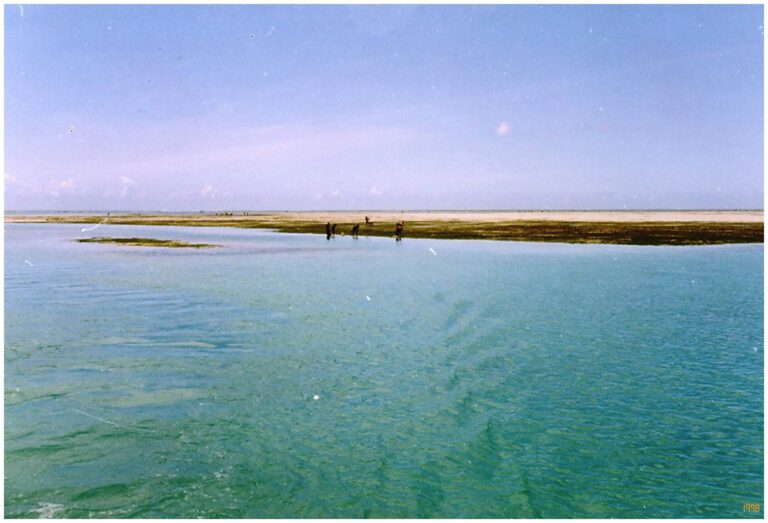 Zanzibar 1998 - Zanzibar 1998 znz1998 37