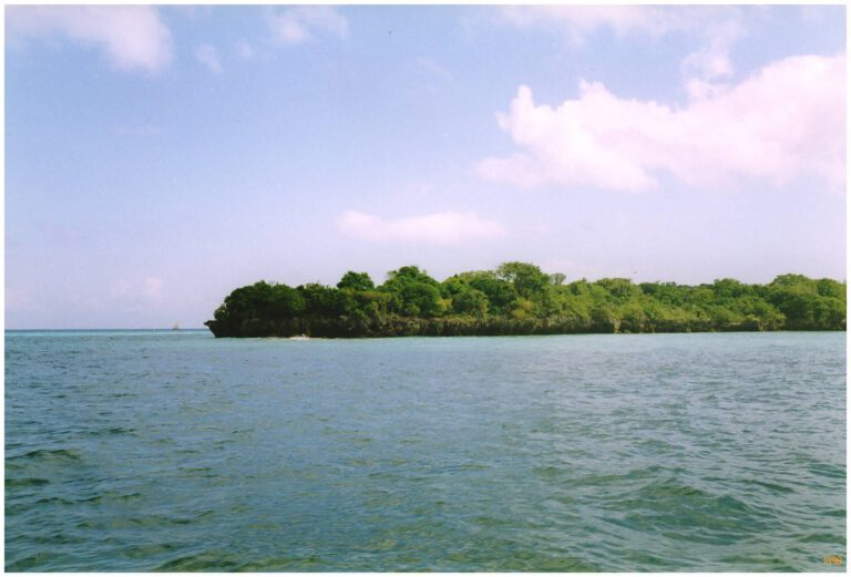 Zanzibar 1998 - Zanzibar 1998 znz1998 61