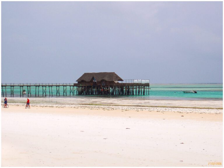 Zanzibar 2005 - ricordi P2271288