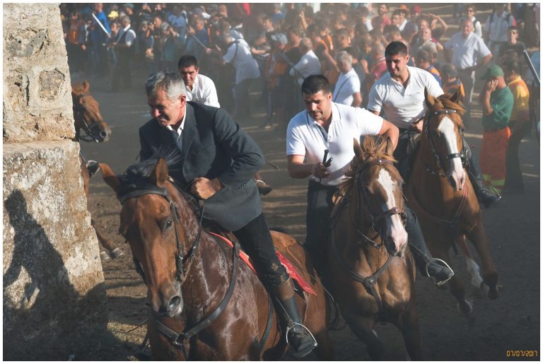 Ardia di Sedilo 2024