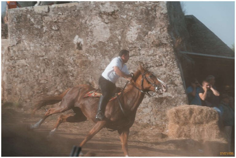 Sedilo - Santu Antine Ardia - anno 2015 DSC 8505
