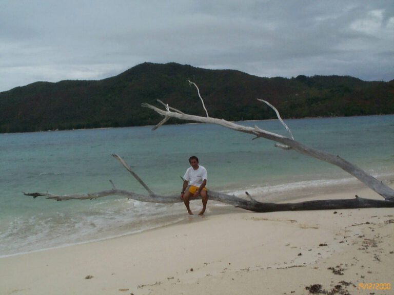 Seychelles 2000 - Couriose DCP 1246