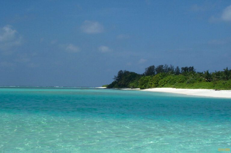 Fotografie delle Maldive 2001 - Fotografie delle Maldive 2001 006