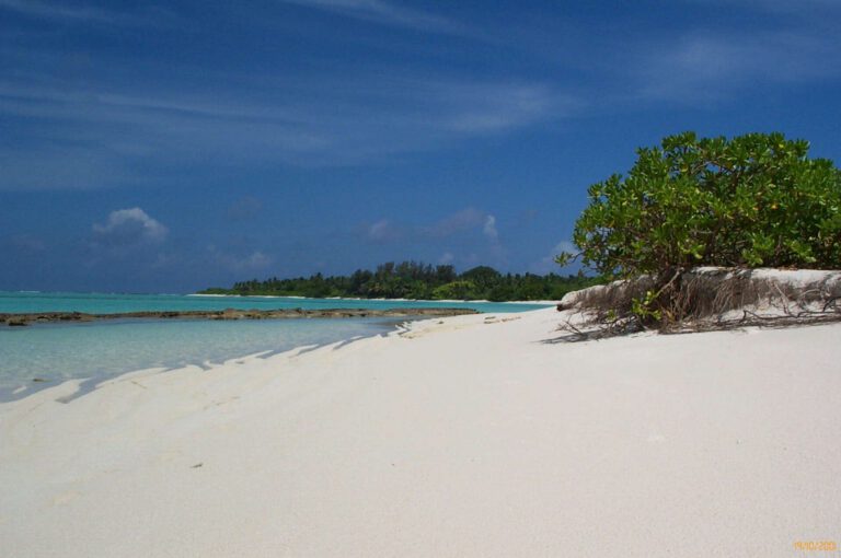 Fotografie delle Maldive 2001 - Fotografie delle Maldive 2001 013