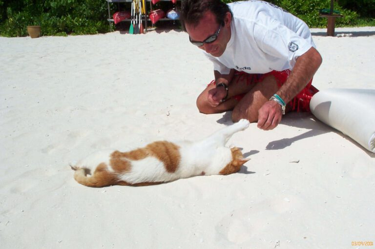 Fotografie delle Maldive 2001 - Fotografie delle Maldive 2001 023