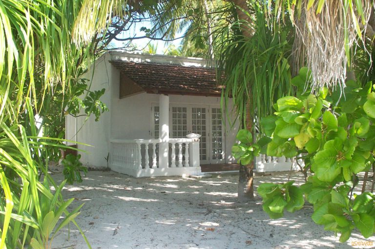 Fotografie delle Maldive 2001 - Fotografie delle Maldive 2001 038