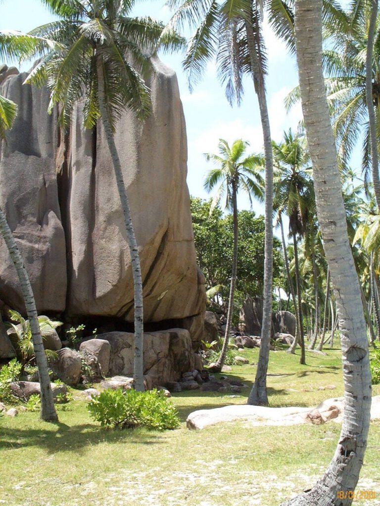 Seychelles 2000 - Grand Soeur DCP 1451