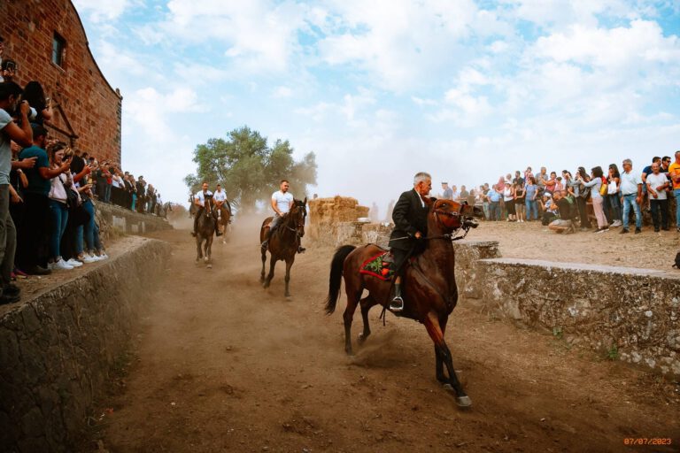 Ardia di Sedilo