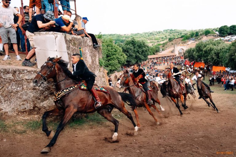 Ardia di Sedilo