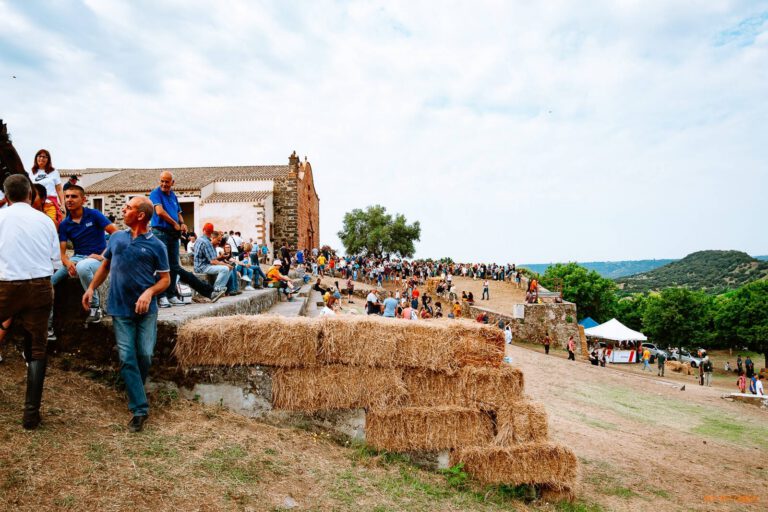 Ardia di Sedilo