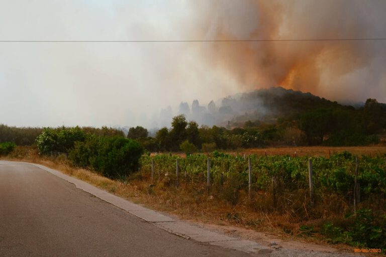 Incendio is Loccis Santus 20 8