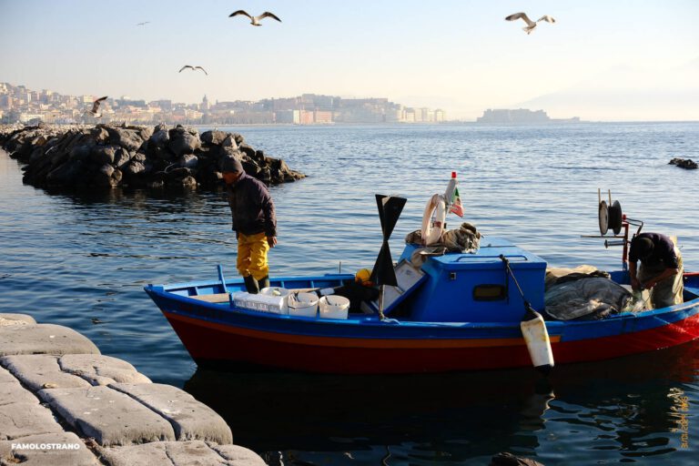 Pescatori di Mergellina 25