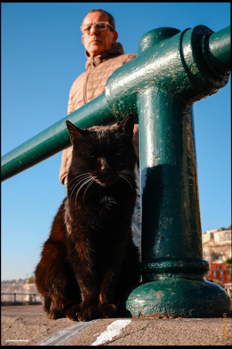 Pescatori di Mergellina 39