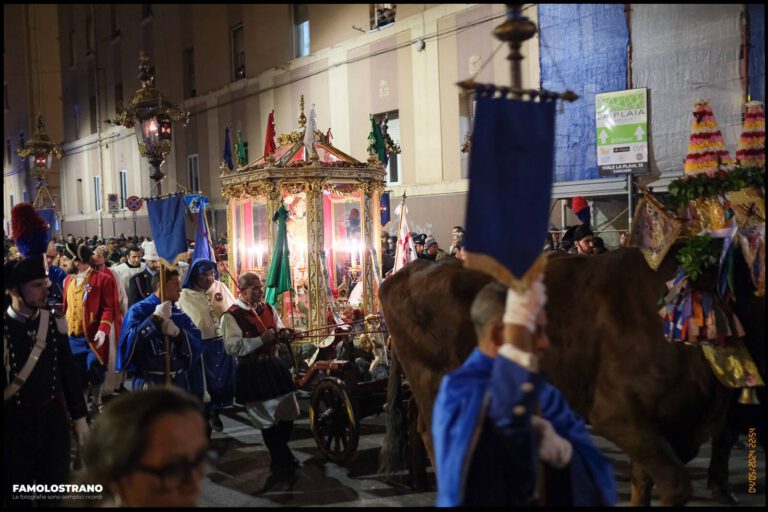 Fotografie del Rientro di sant'efisio 368 096 90