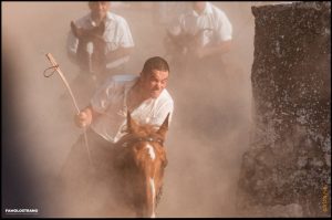 Fotografie Ardia