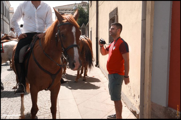 Grazie Sedilo 042 10