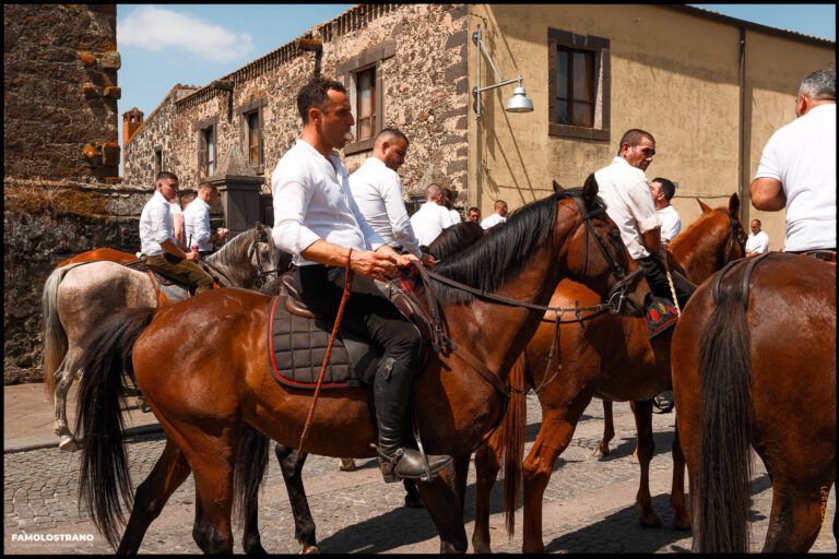 Grazie Sedilo 042 14