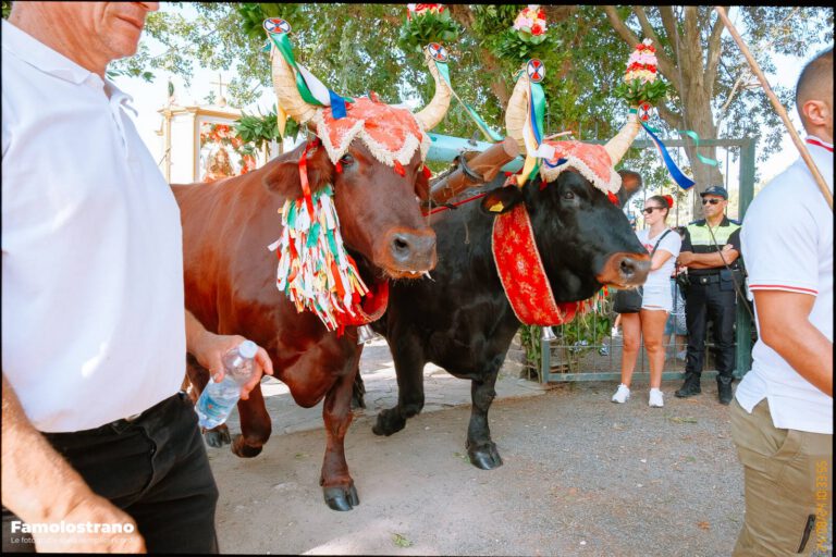 Processione di Santa Lucia a Monastir per: Tradizioni