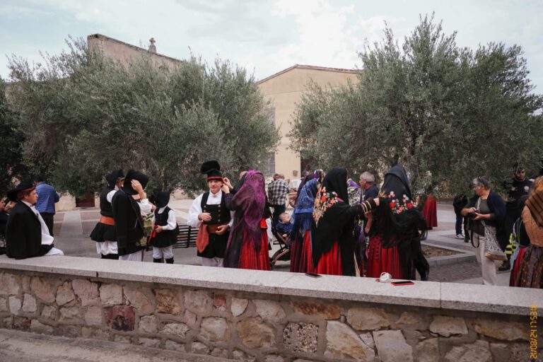 Processione Siliqua