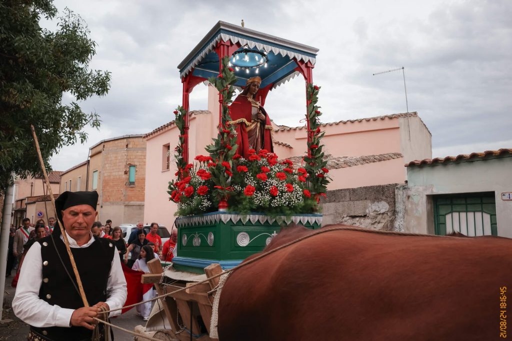 Processione Siliqua