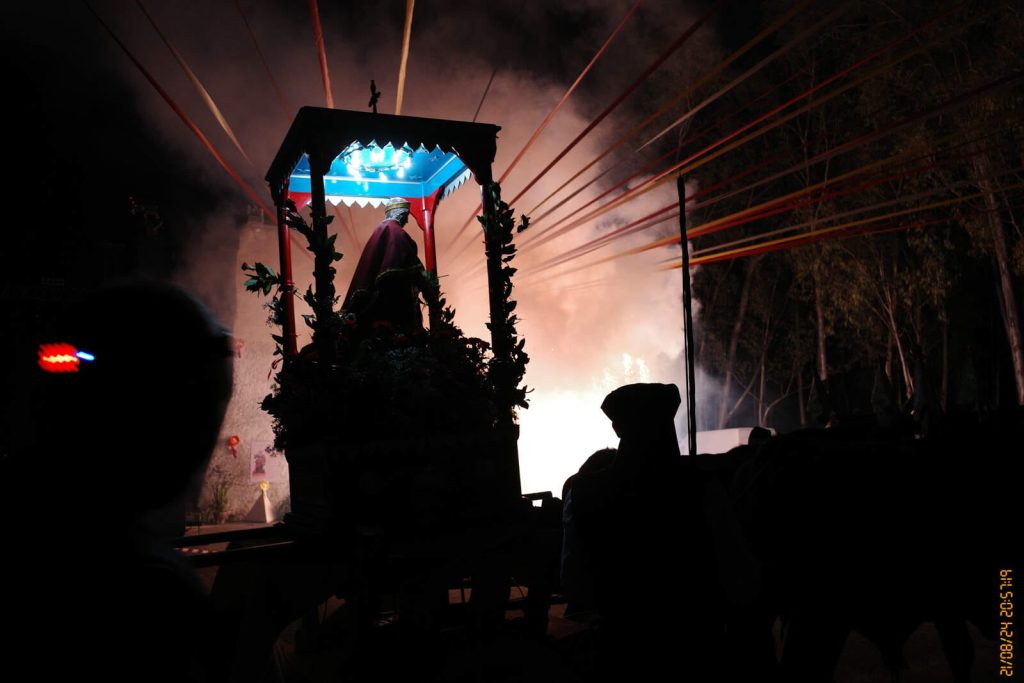 Processione Siliqua