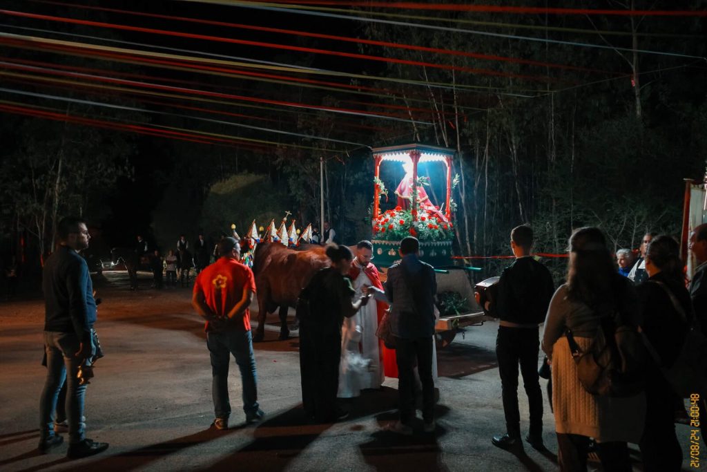 Processione Siliqua