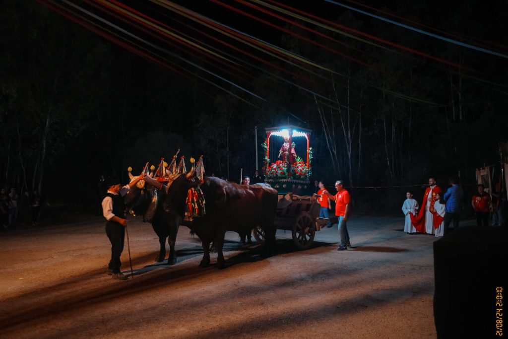Processione Siliqua