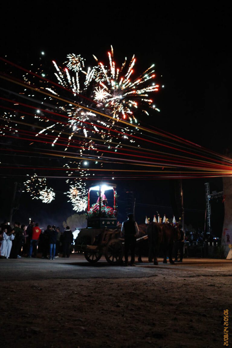 Processione Siliqua