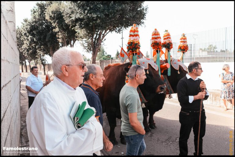 Festa di Santa Vitalia a Villasor