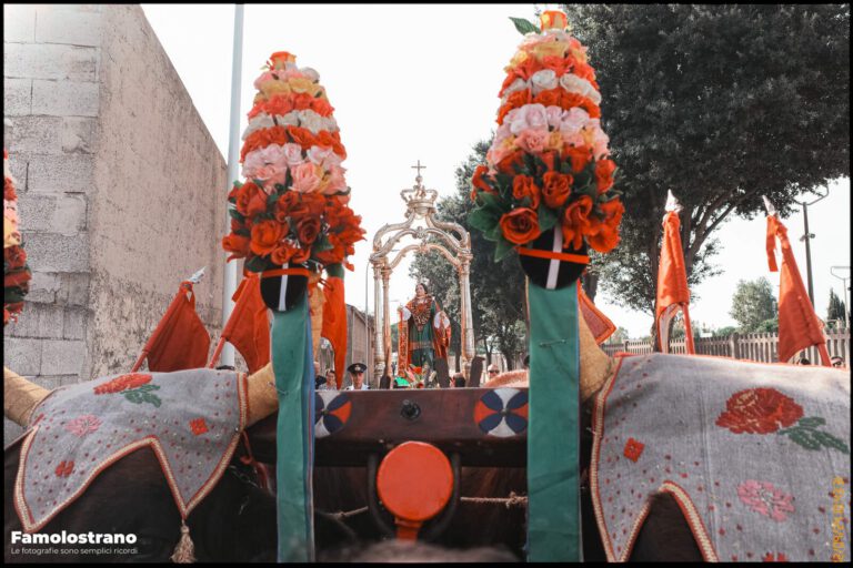 Emozioni e Tradizione: Il Cuore della Festa