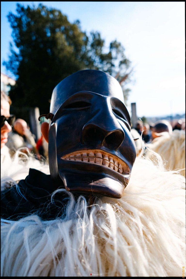Carnevale Samugheo 024