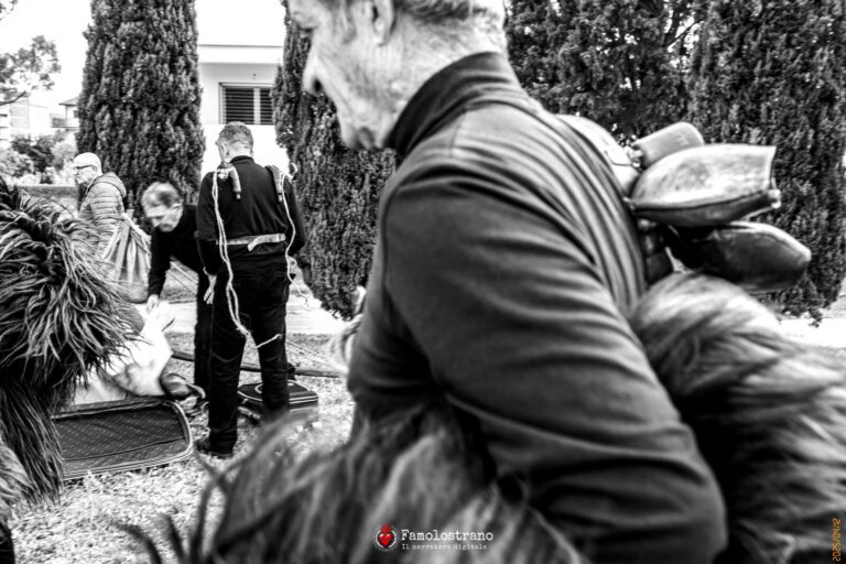 Is Mustayonis e S’Orku Foresu DSCF3401