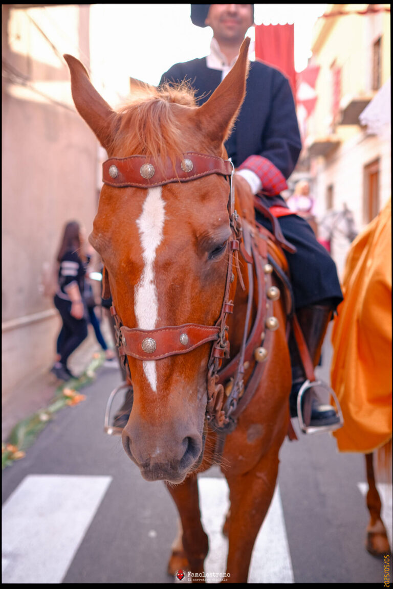 Processione a Sant’Antioco 36