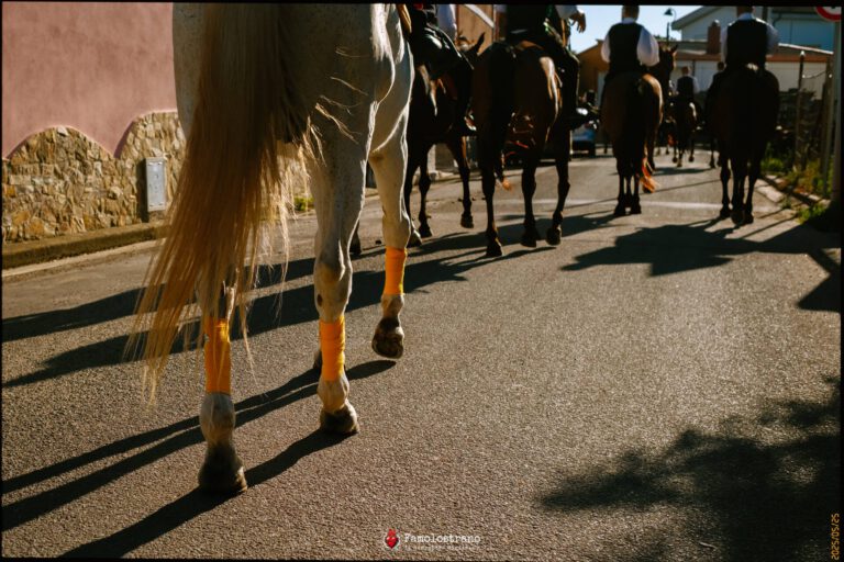 Villaspeciosa processione 16