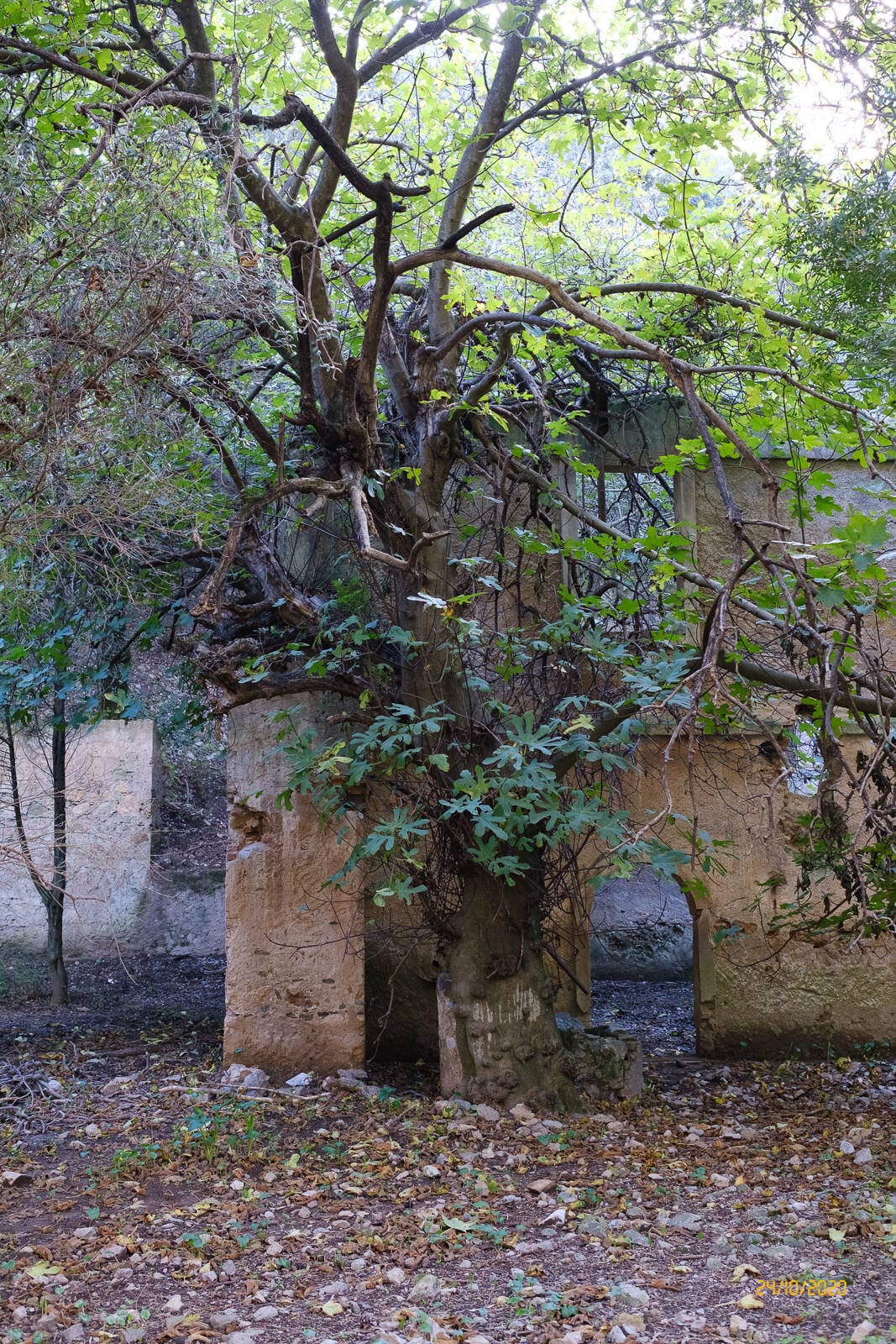 Fotografie Gonnesa - Ex miniera di Monte Onixeddu 008 683x1024