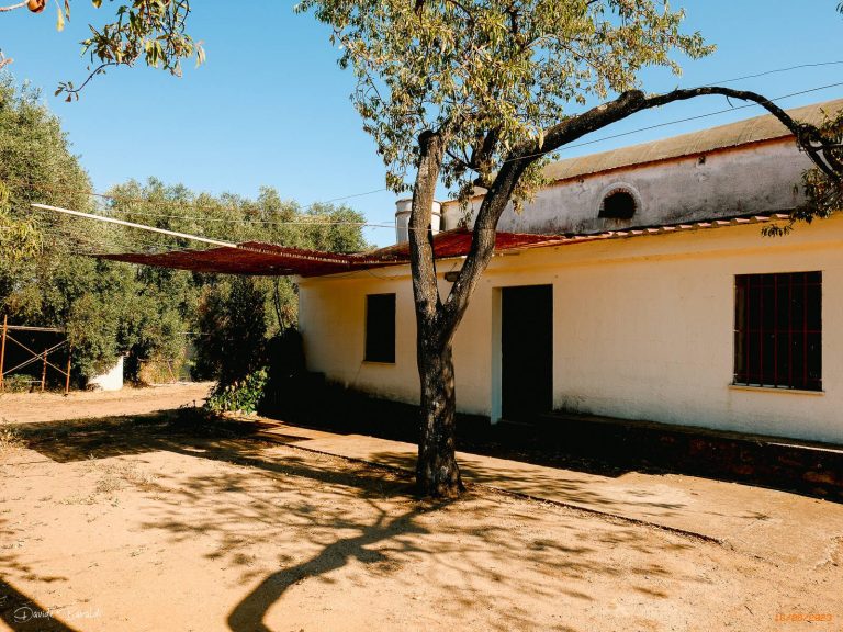 Chiesa di San Pietro Villacidro 16 7