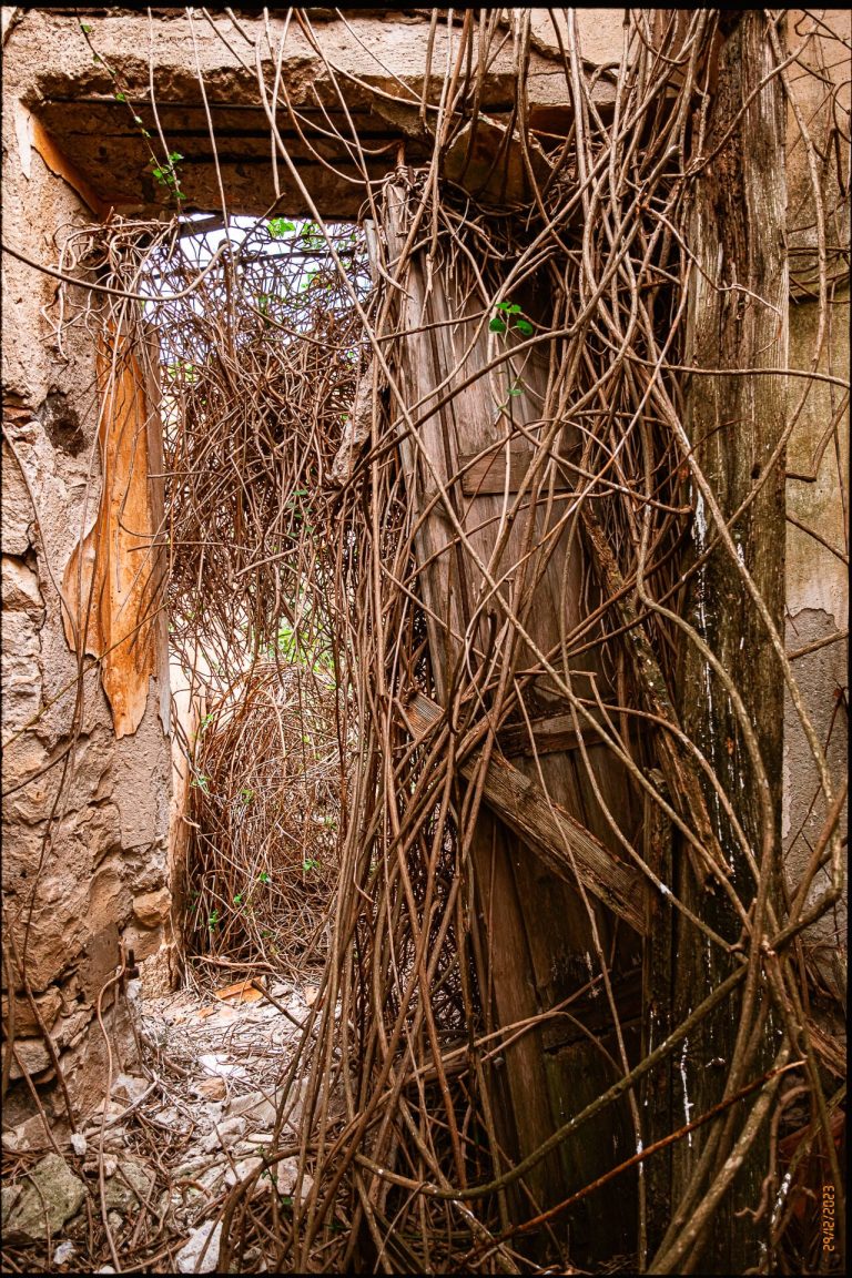 cimitero abbandonato Sardegna 27